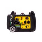 Dual Fuel Generators
