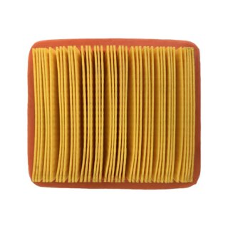 Air filter (Inverter models 73001i, 73001i-P, 73001i-DF)