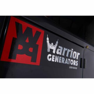 WARRIOR 11000 Watt Diesel Generator Notstromaggregat Stromerzeuger 230V EU